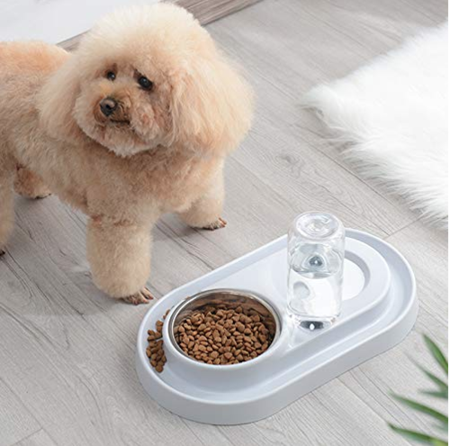 Pet Bowls with Automatic Water Bottle - Stainless Steel