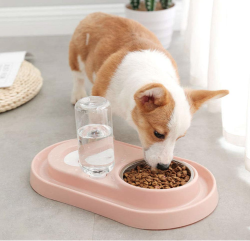 Pet Bowls with Automatic Water Bottle - Stainless Steel